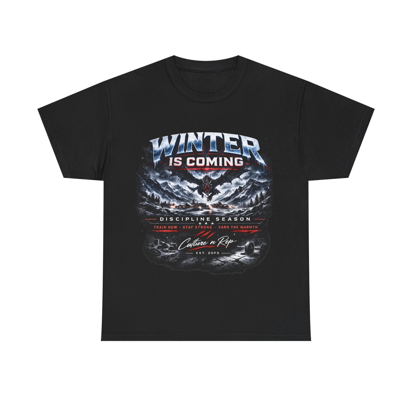 Winter Is Coming Tee